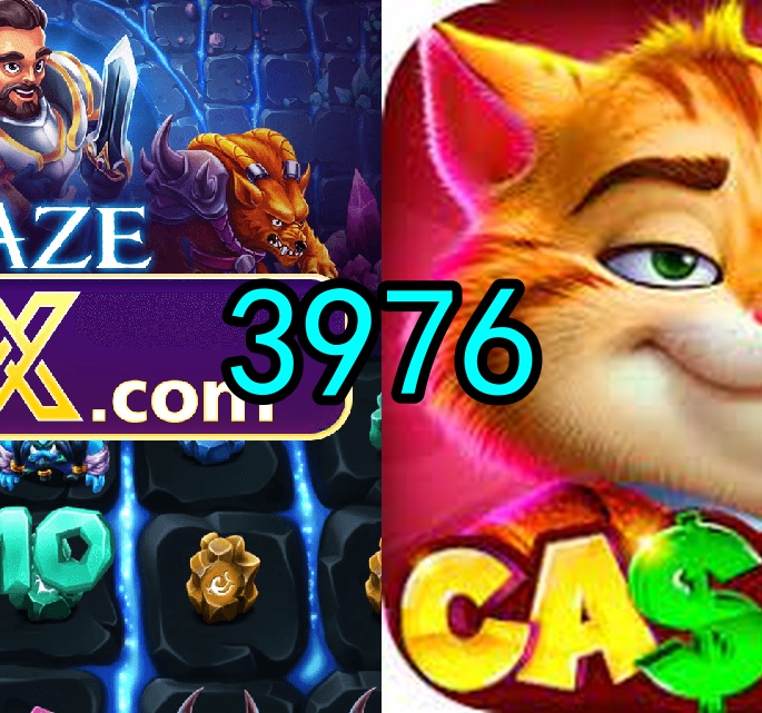 3976.com